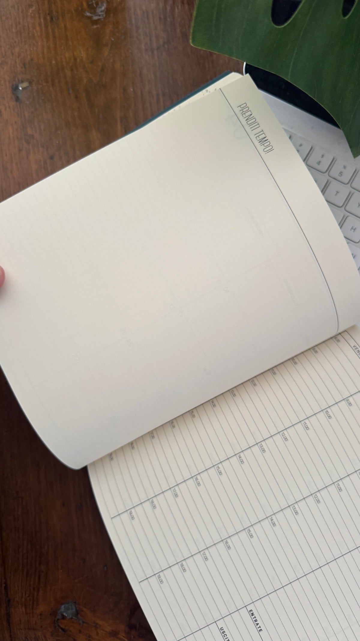 Agenda settimanale - Gingko Light