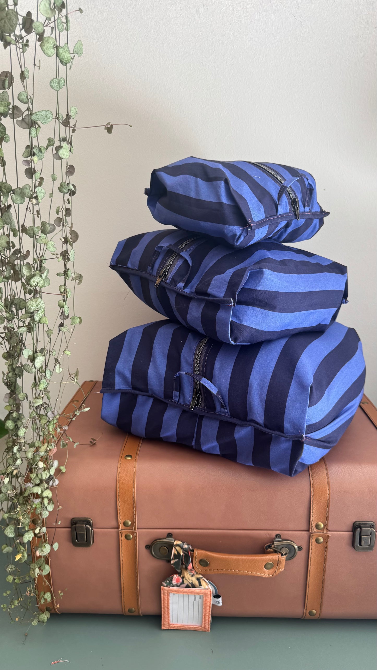 Pack & Go (Travel organizer) - Set Londra (Stripes)
