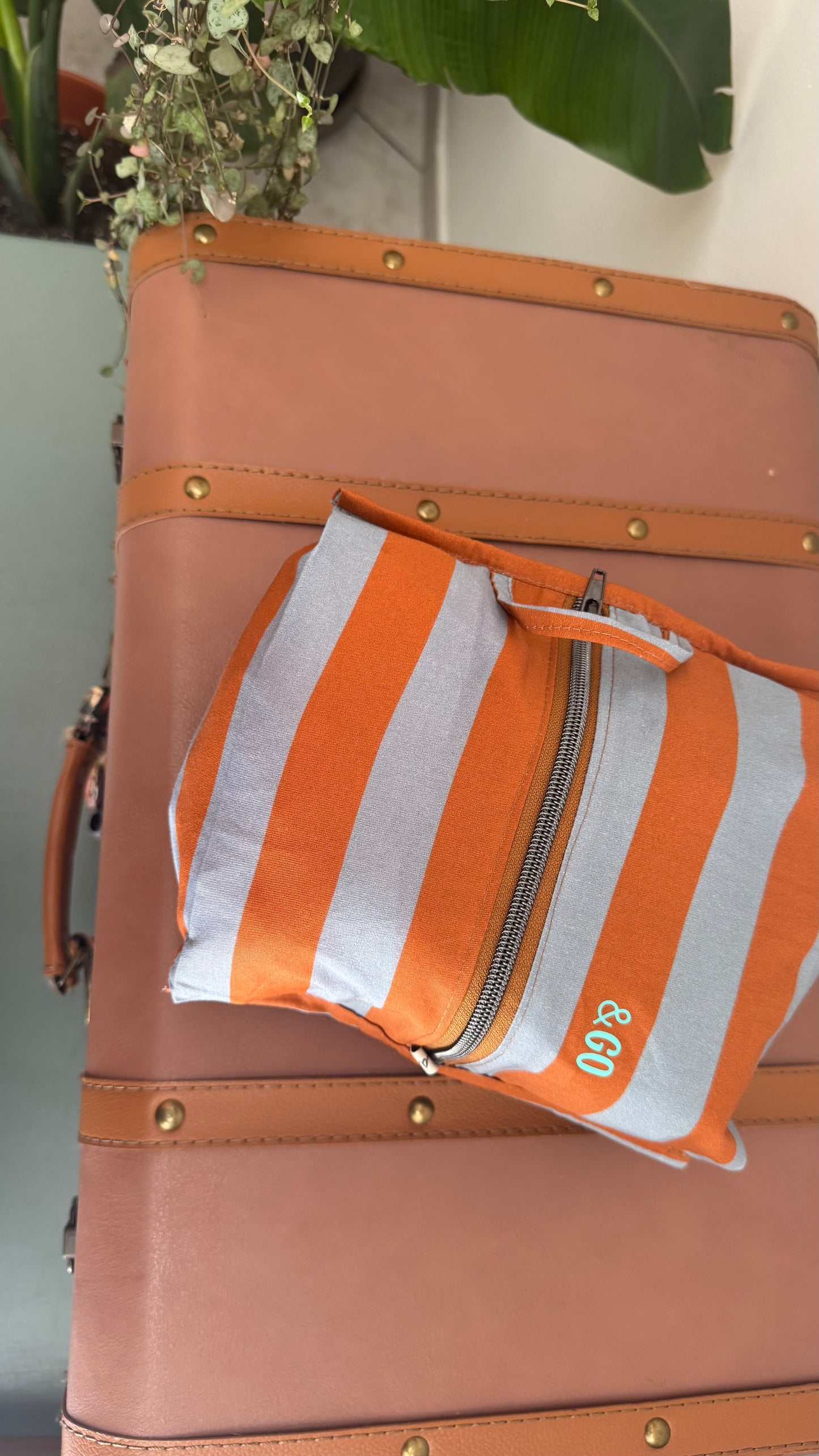 Pack & Go (Travel organizer) - Set New York (Stripes)