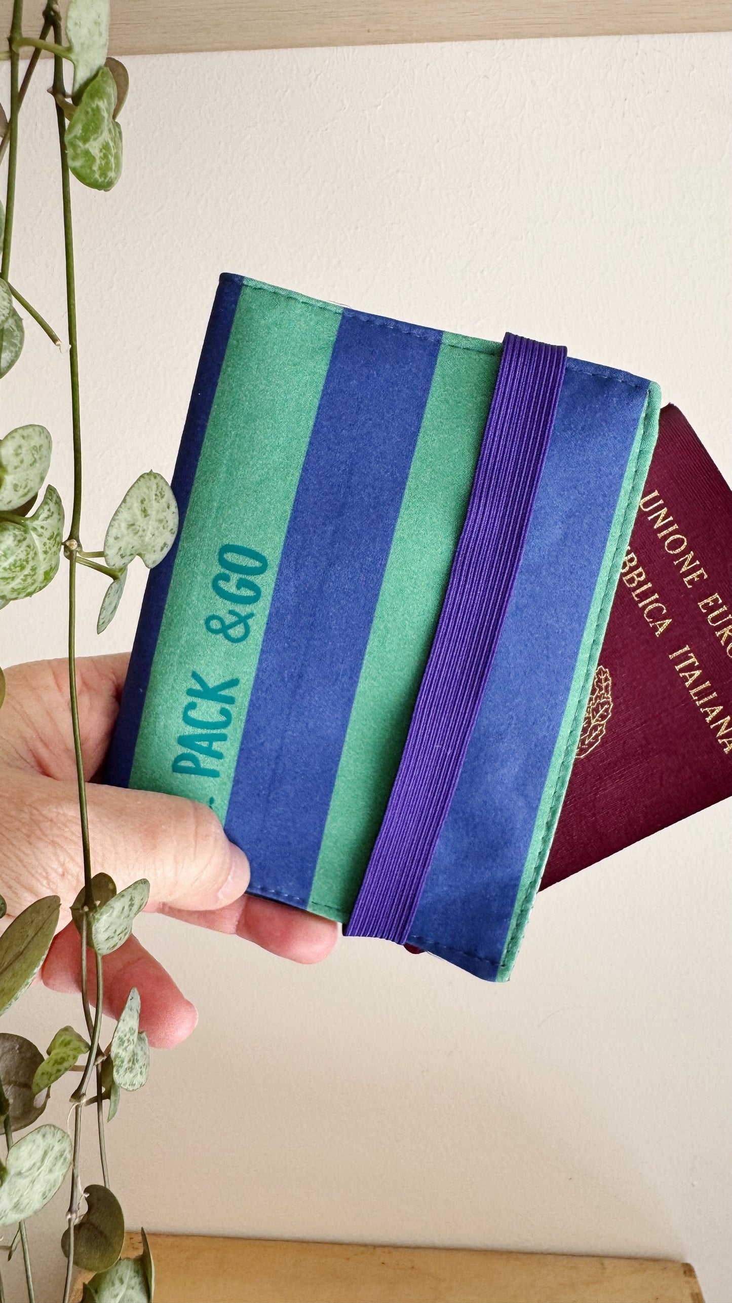 Porta Passaporto - Indaco & Verde (Stripes)