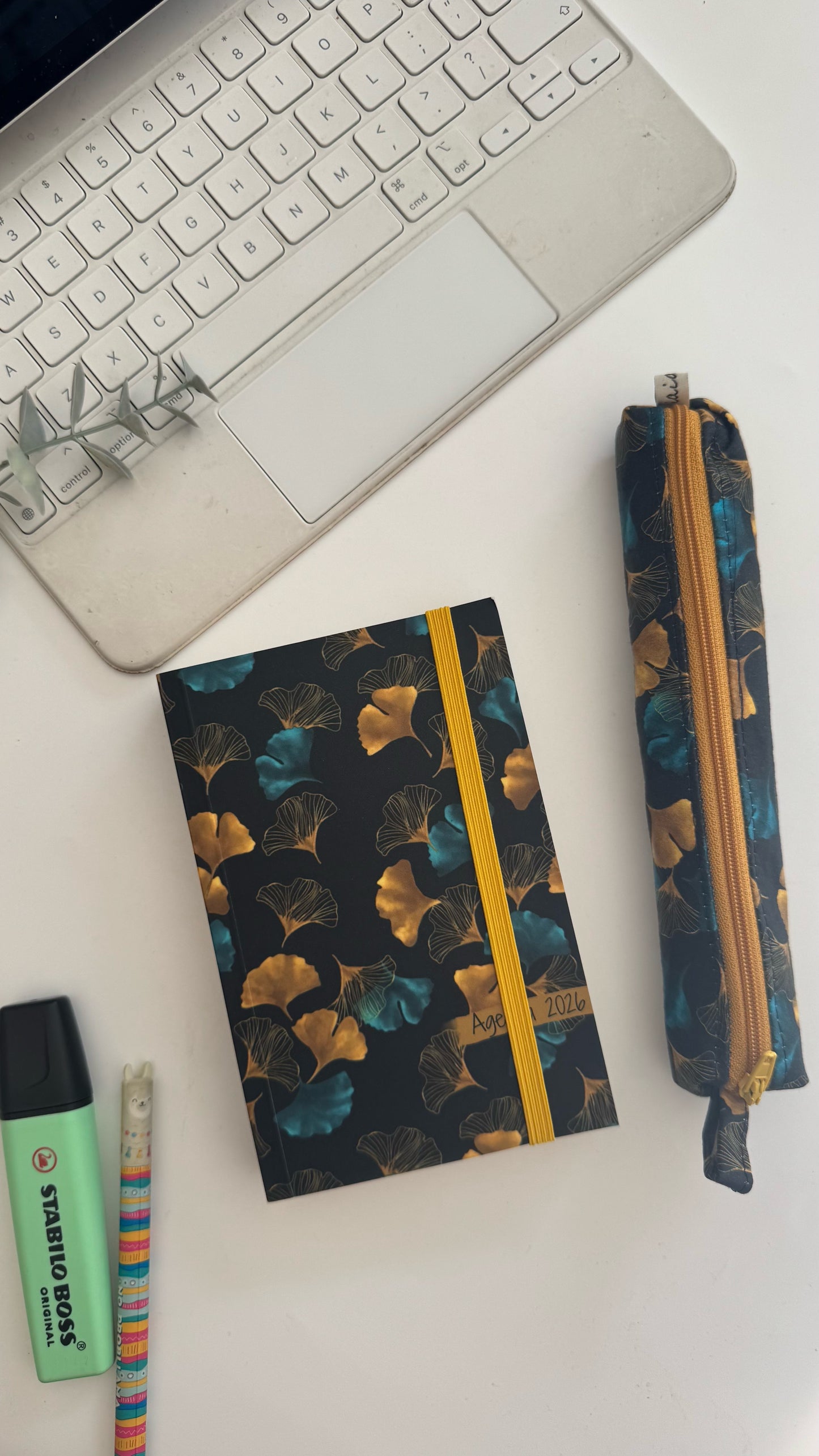 Astuccio Birillo - Gingko
