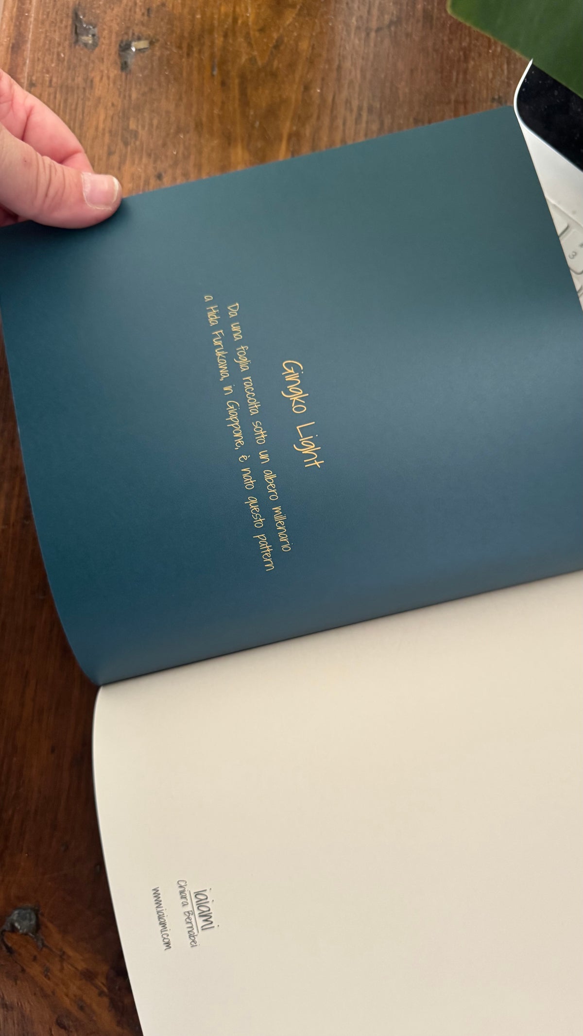 Agenda settimanale - Gingko Light