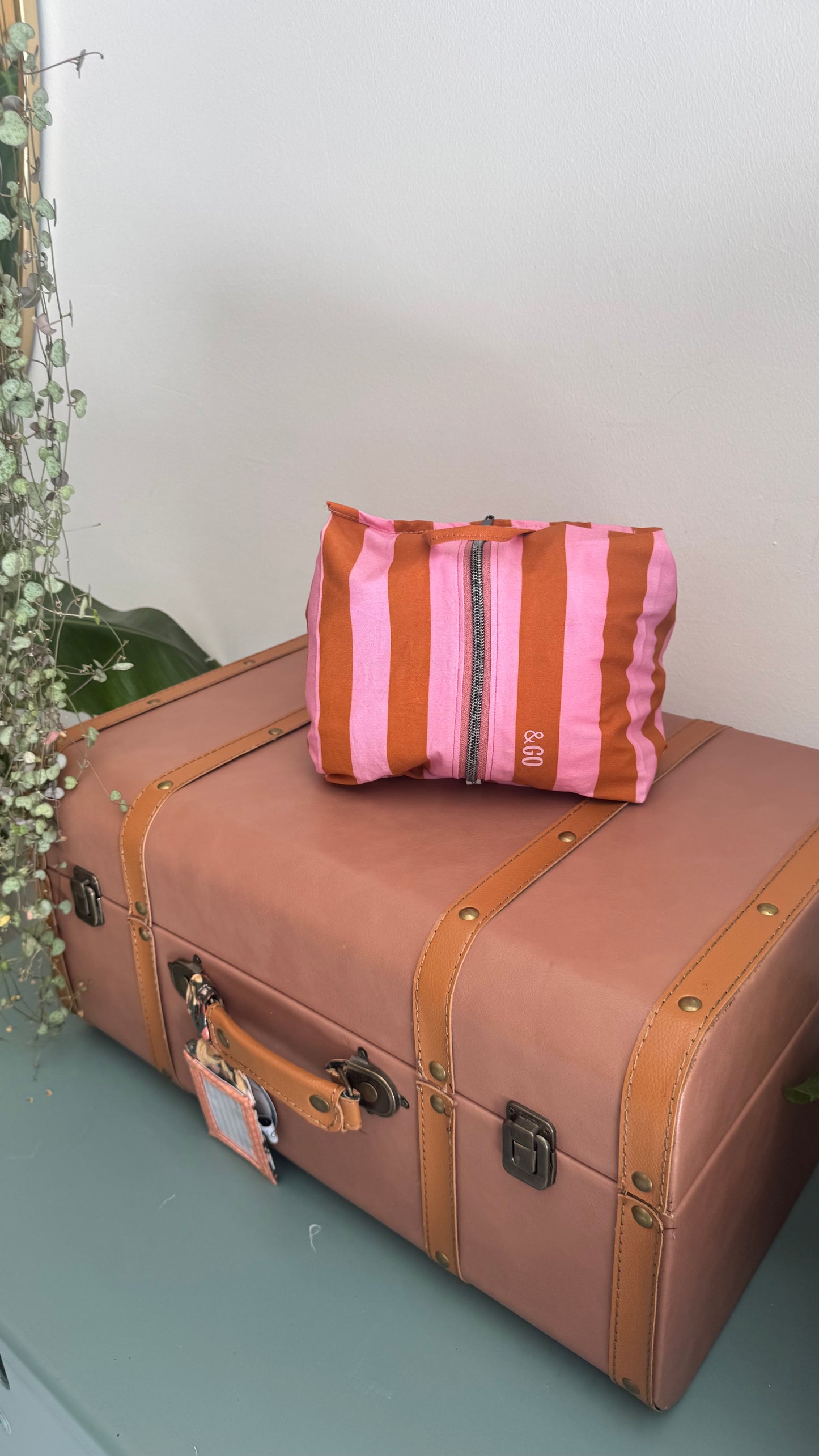 Pack & Go (Travel organizer) - Set Roma (Stripes)