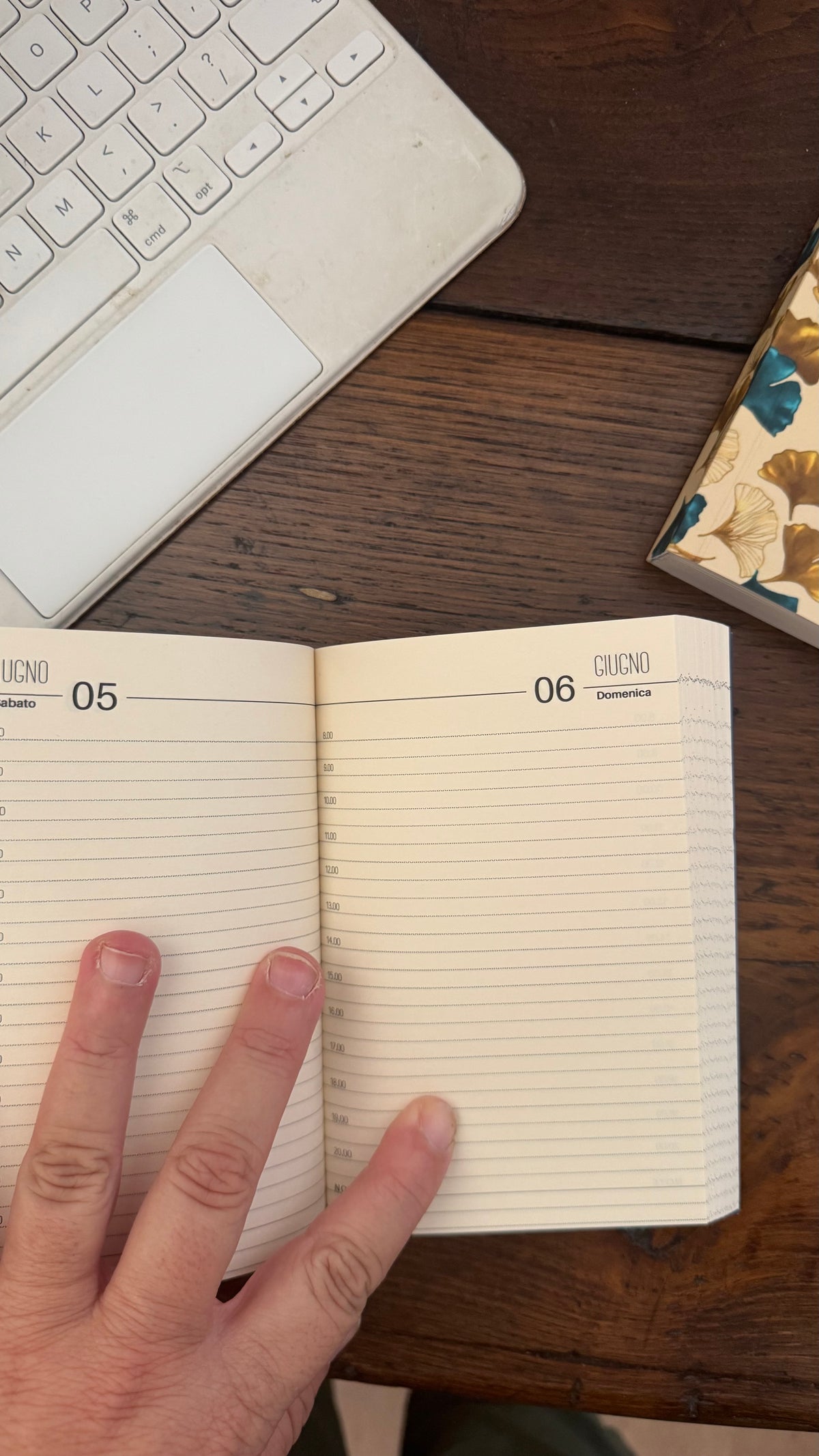 Agenda giornaliera - Gingko light