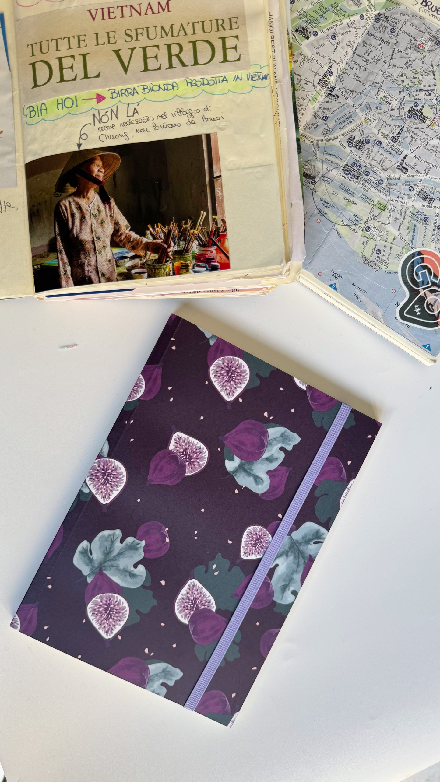 Travel Journal - Fichi