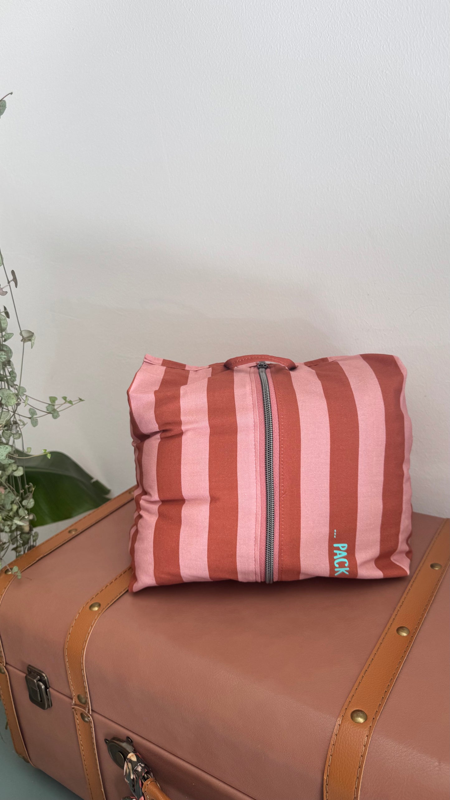 Pack & Go (Travel organizer) - Set Sydney (Stripes)
