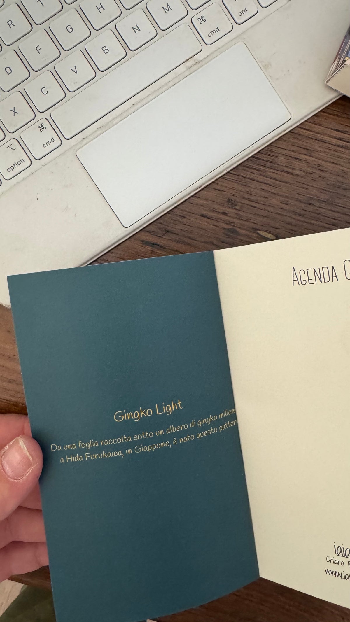 Agenda giornaliera - Gingko light